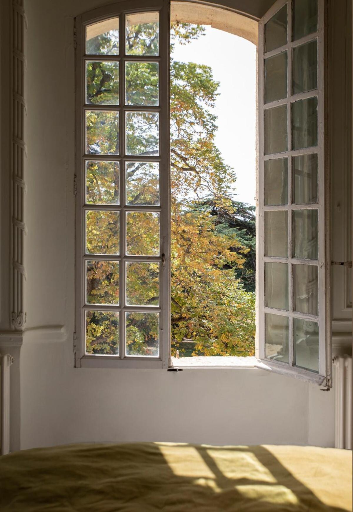 Villa Rieucoulon Estate, 18th Century, 12 Guests